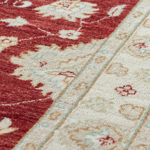 Close-up of a patterned area rug with a deep red field, cream sections, and a decorative border in pale blue and beige tones.